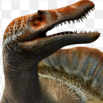 SPINO PLAYZ FAN CLUB