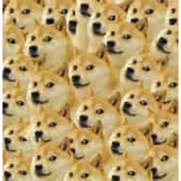Doge Obby