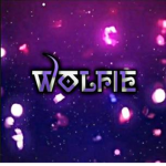 Studio Of Wolfie