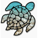 Turquoise turtlesღ