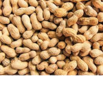 Peanut home