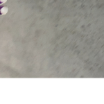 Furries Unite!!