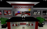 The BROOKHAVEN Role Play group