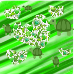 turtlle kindom