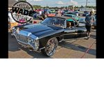 Donk Nation