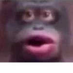 Peepeepoopoocheck