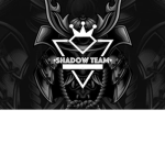 Shadow team(Vietnammse group)