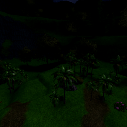 Peaceful Jungle