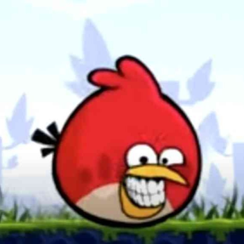 Angry Birds Models.