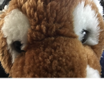 TigerC