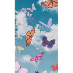 The pretty butterfly