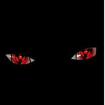 SHADOW_SD