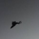 FlyingMoth