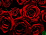 ~Team Roses~