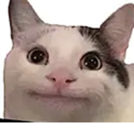 LionW777