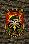 MAC-SOG Studio's