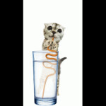 raise a lightastroboy87