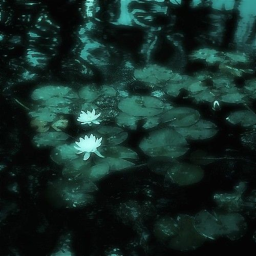 ⋆♱✮♱⋆