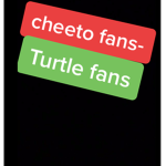 The Cheetos / turtles