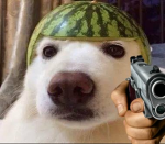 Oak Dev Official