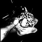 ‘ClawMarks
