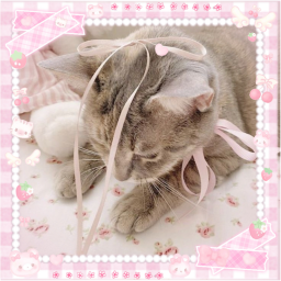 ♡