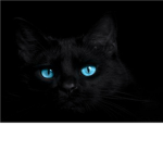 Meteorclan