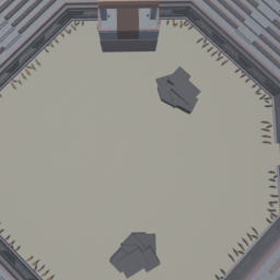 Gladiator Fighting