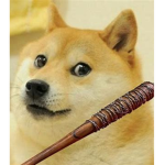 Doge's Hut