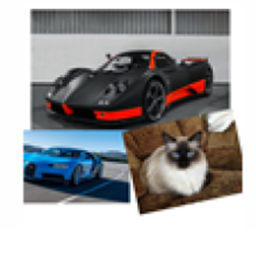 Cat Racing