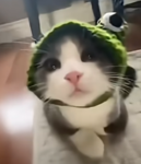 不孤單