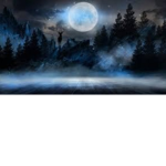 Moonlight XoXo