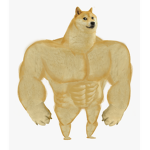DOGE HANGOUT AND ARMY