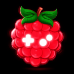 Team Berry Studio