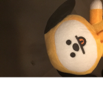 DaBestKoalaSquad