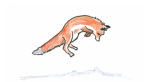 Skys' foxie friends