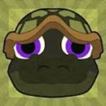 team turtle forever group