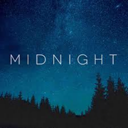 Midnight Tycoon