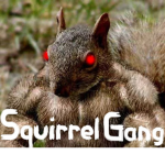 Squirrel Gang! Games and Clothing