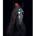 StoneRose Stables