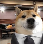 The DogeLand