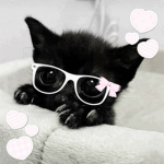 miniao
