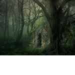 Coven of the Elders