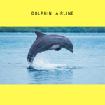Dolphin Airline