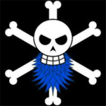 -The Bluebeard Pirates-