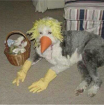 SCP:F 《Special Containment Procedures Foundation》