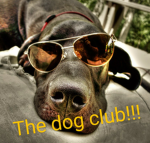 The dog club!!!