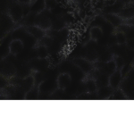 Spaaaaaace