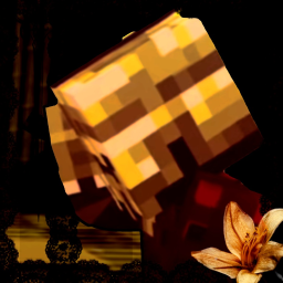 ⋆ ︵ ︵ . ୨୧ . ︵ ︵ ⋆