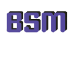Blox Style Masterz